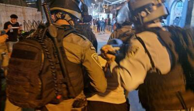 Они в шоке: беспорядки в Иерусалиме - 9tv.co.il - Израиль - Иерусалим - Они