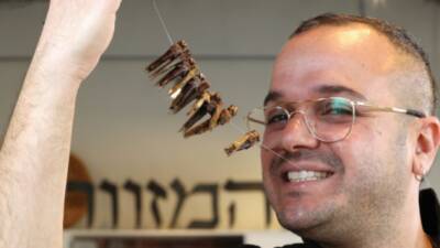 Новый кулинарный хит в Израиле: сушеные кузнечики - vesty.co.il - Израиль - Амстердам