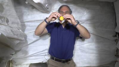 Эйтан Стиббе - Илан Рамон - После 16 дней в космосе израильский астронавт возвращается на Землю - vesty.co.il - Израиль - Сша - штат Флорида - Дней - Израильский