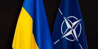 Давид Арахамия - Если на референдуме украинцы поддержат движение в НАТО, будут новые переговоры с Россией — Арахамия - nv.ua - Израиль - Россия - Германия - Сша - Украина - Китай - Англия - Турция - Стамбул - Франция - Польша