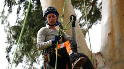 Единственная в Израиле женщина-специалист по обрезке деревьев рассказала о тонкостях профессии - vesty.co.il - Израиль