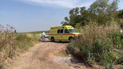 Две смертельных аварии возле Хадеры: тракторист врезался в улей, женщину сбил грузовик - vesty.co.il - Израиль