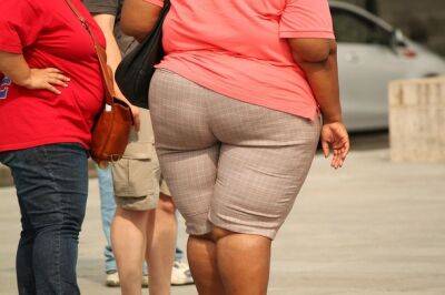 64% взрослых израильтян страдают от избыточного веса: доклад ВОЗ - nashe.orbita.co.il