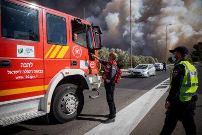 Лесной пожар в одном из районов Иерусалима: появились подробности - cursorinfo.co.il - Израиль - Иерусалим - Сенегал