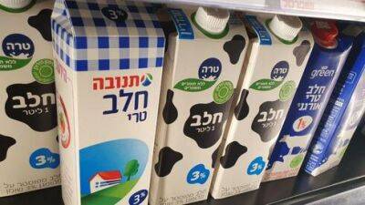 Израильтяне отказываются от молочных продуктов и переходят на их заменители - vesty.co.il - Израиль