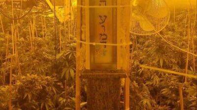 Религиозные мужчины выращивали марихуану в синагоге Тверии: видео - vesty.co.il - Израиль - Иерусалим