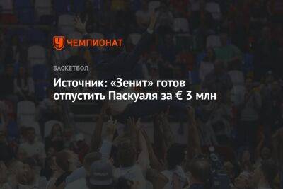 Источник: «Зенит» готов отпустить Паскуаля за € 3 млн - championat.com - Москва - Тель-Авив - Санкт-Петербург