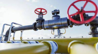 Германия готовит дополнительные меры по экономии газа из-за сокращения импорта из рф - ru.slovoidilo.ua - Израиль - Египет - Катар - Германия - Сша - Украина - Евросоюз
