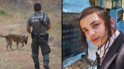 С собаками и вертолетами: на севере Израиля ищут 16-летнего Мойше - vesty.co.il - Израиль