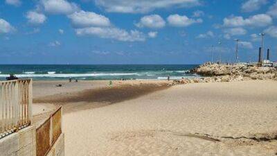 Опасность на воде: 65 человек утонули на пляжах Израиля за 1,5 года - vesty.co.il - Израиль