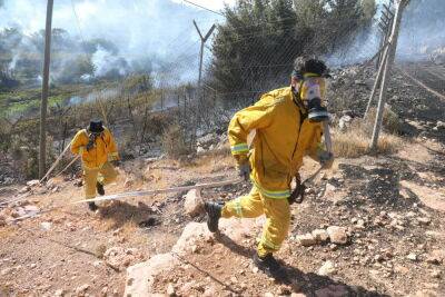 Лесной пожар вспыхнул в Иудейских горах возле Мевасерет-Циона - news.israelinfo.co.il - Тель-Авив - Иерусалим