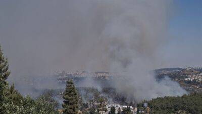 Пожарные и самолеты участвуют в тушении пожара, вспыхнувшего между Мевасеретом, Бейт-Некофой и Хар-Адаром - 7kanal.co.il - Иерусалим - Бейт