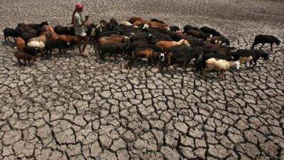 Исследователи предупреждают: жара будет убивать урожай и людей - vesty.co.il - Израиль - Украина - Индия - Швеция - Пакистан