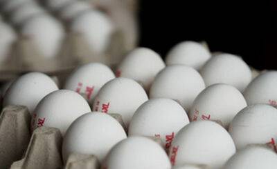 Торговые сети Израиля поднимут цены на куриные яйца - nashe.orbita.co.il - Израиль