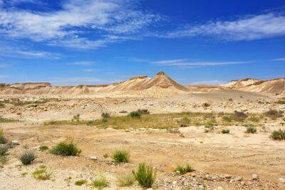 Правительство выделяет 3 млн шекелей на исследования по изменению климата в пустынях - cursorinfo.co.il - Израиль - Тель-Авив