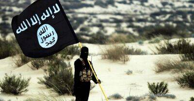 Армия США ликвидировала лидера ИГИЛ в Сирии (фото) - focus.ua - Сирия - Ирак - Сша - Украина - Игил
