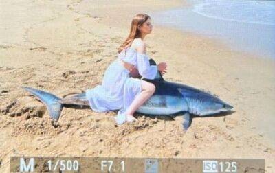 Россияне убили акулу ради фоток - korrespondent.net - Россия - Украина - Фото