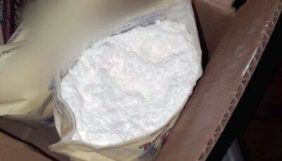 Немаленькая "лошадка": в чемодане жителя Кирьят-Ата обнаружили 11 кг кокаина - 9tv.co.il - Израиль - Франция - Кирьят-Ата