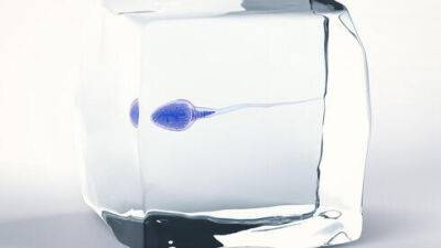 В Израиле начали замораживать сперму больным и здоровым: кому это нужно - vesty.co.il - Израиль - Россия