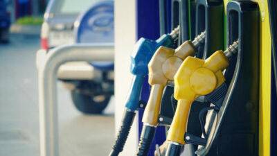Авигдор Либерман - С 1 августа: литр бензина в Израиле будет стоить меньше 7 шекелей - vesty.co.il - Израиль