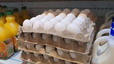 8 июля: в Израиле резко повысится цена на куриные яйца - vesty.co.il - Израиль - Украина