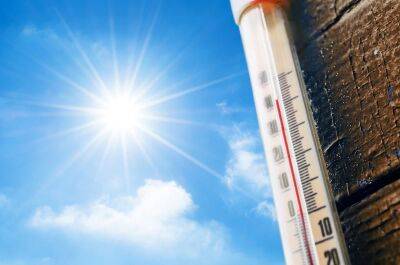 Эксперты рассказали, насколько жарче станет в Израиле к 2030 году - cursorinfo.co.il - Израиль
