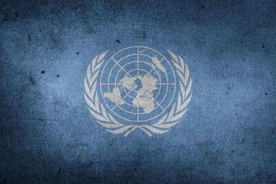 Реакция ООН: координатор прокомментировал прекращение огня в Газе - cursorinfo.co.il - Израиль - Египет - Катар - Сша