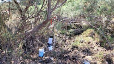 Зараженные комары обнаружены в долине Звулун, специалисты призывают население принять меры - vesty.co.il - Израиль