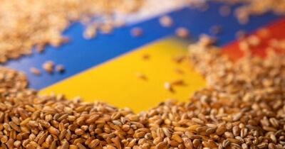 Семь судов с украинским зерном направятся в Испанию, Турцию и Израиль - dsnews.ua - Израиль - Россия - Украина - Турция - Испания
