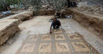В Газе фермер обнаружил богато украшенную византийскую мозаику (фото) - focus.ua - Иерусалим - Украина - Франция - Византия