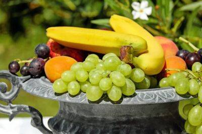 Черные абрикосы и «арбузные сливы»: израильтяне выращивают уникальные гибридные фрукты - cursorinfo.co.il - Израиль