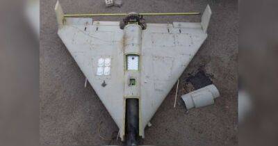 Иранские дроны-камикадзе комплектуют процессорами из США, – стратком ВСУ (фото) - focus.ua - Иран - Сша - Украина - state Texas - Из