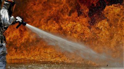 Пожар на берегу озера Кинерет: спасатели взяли огонь под контроль - cursorinfo.co.il - Огонь