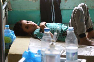 Вспышка холеры в Сирии дойдет до Израиля? - news.israelinfo.co.il - Израиль - Сирия