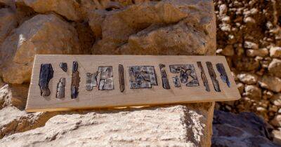 В Иерусалиме нашли панели из слоновой кости, упомянутые в Библии (фото) - focus.ua - Иерусалим - Украина