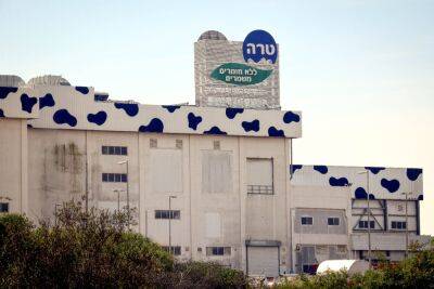 «Тара» повышает цены на молочные продукты - news.israelinfo.co.il - Израиль