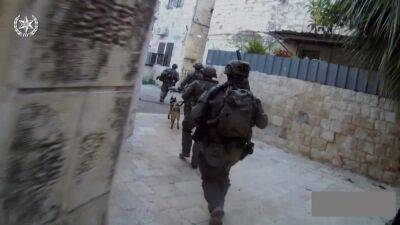 Спрятал нож, достал молоток и напал: военнослужащий Армии обороны Израиля застрелил террориста - 9tv.co.il - Израиль