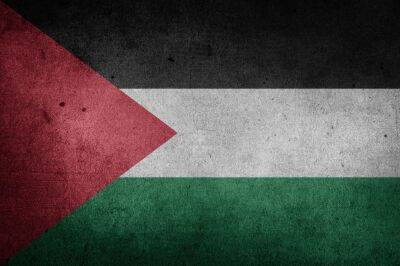 Эхуд Ольмерт - Дочь экс-премьера заявила, что намерена поднять флаг ПА на протестах и объяснила свое решение - cursorinfo.co.il - Израиль - Палестина - Тель-Авив - Иерусалим