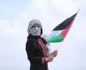 Свыше 90 стран вступились за палестинцев - isra.com - Израиль - Палестина - Германия - Япония - Бразилия - Италия - Франция - Южная Корея - Юар - Мексика