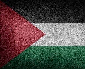 Эли Коэн (Eli Cohen) - В МИД ответили на письмо в защиту палестинцев - isra.com - Израиль - Палестина