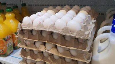 1 февраля куриные яйца в Израиле подорожают на 16% - vesty.co.il - Израиль