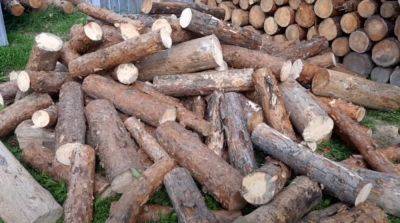 Это должен знать каждый житель села: какими дровами нельзя топить печь - hyser.com.ua - Украина - Это