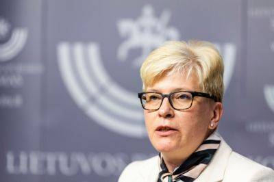 Ингрида Шимоните - Премьер Литвы: выпад ХАМАСа против Израиля должен осудить весь мир - obzor.lt - Израиль - Палестина - Литва - Весь