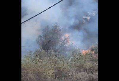Палестинцы подожгли лес вокруг Хомеш - mignews.net - поселение Хомеш - Вокруг
