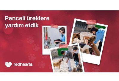 Волонтёры Red Hearts помогли приюту для животных - trend.az - Англия - Азербайджан