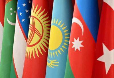Малейка Аббасзаде - Планируется создание Института человеческих ресурсов тюркского мира под эгидой ОТГ - trend.az - Турция - Азербайджан - Узбекистан - Самарканд - Президент