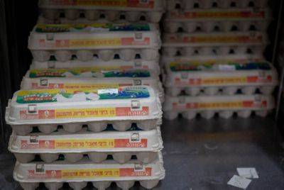 Яйца и фрукты в центре боевых действий: Как Израиль готовится к продовольственной безопасности - nashe.orbita.co.il - Израиль