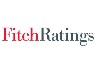 Fitch подтвердило рейтинг SOCAR на уровне BB+ - trend.az - Азербайджан