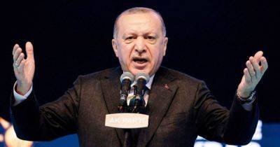 Биньямин Нетаньяху - Реджеп Тайип Эрдоган - Израиль Эрдоган - "ХАМАС — это освободители": Эрдоган сказал, что Турция готова к военному присутствию в Газе - focus.ua - Израиль - Украина - Турция - Президент