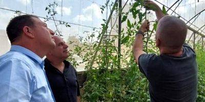 Ури Ватерман - Израильские торговые сети решили поддержать местных фермеров - nep.detaly.co.il - Израиль